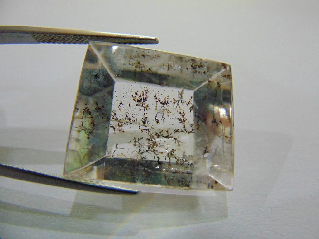 42,70ct Dendrito 24x21mm