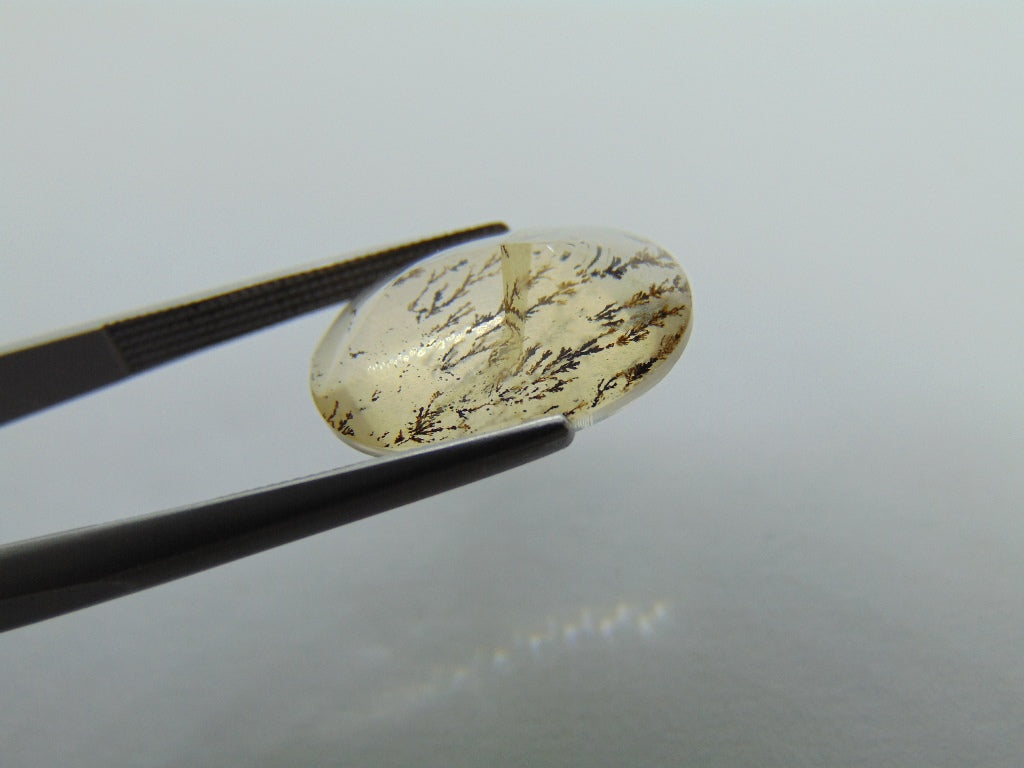 Dendrito 6,20ct 18x12mm