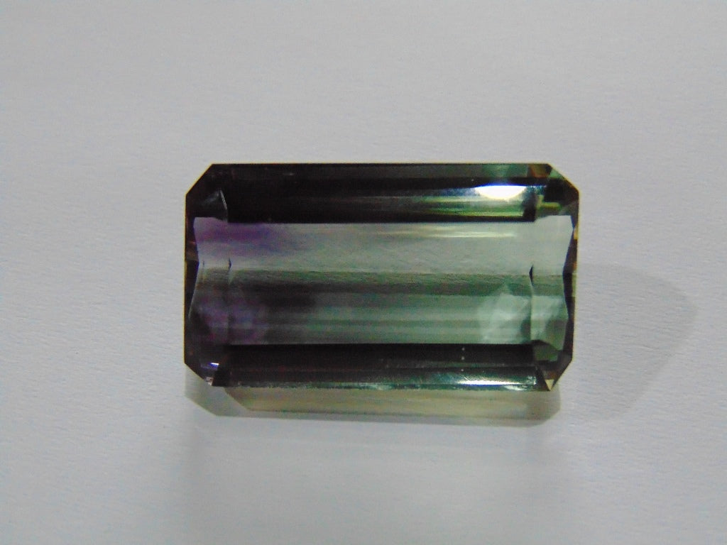 30.60ct Prasiolite Bicolor 25x14mm