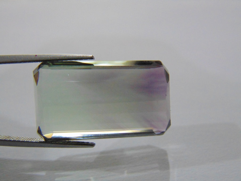 30.60ct Prasiolite Bicolor 25x14mm