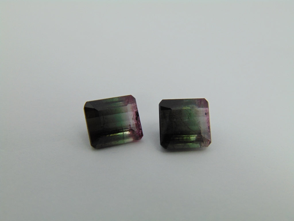 6.30cts Tourmaline (Bicolor)