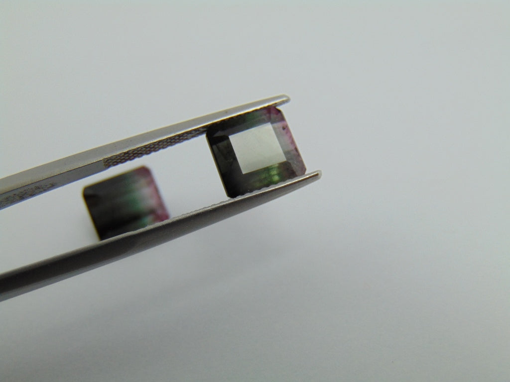 6.30cts Tourmaline (Bicolor)