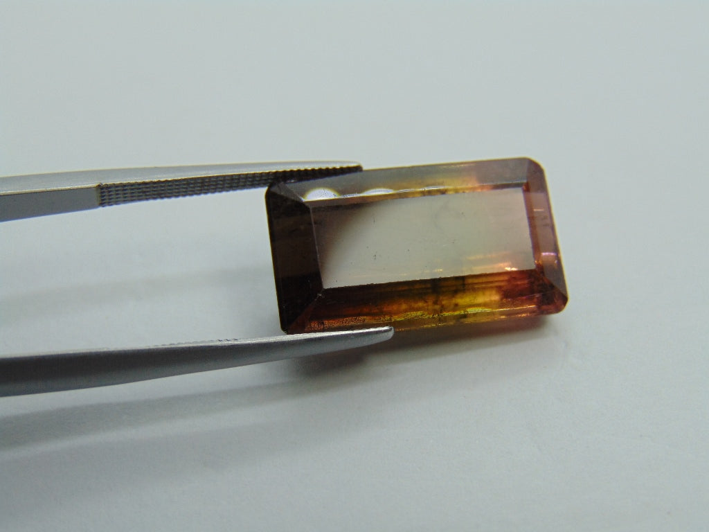 17.15cts Tourmaline (Bicolor)