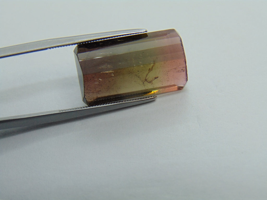 17.15cts Tourmaline (Bicolor)