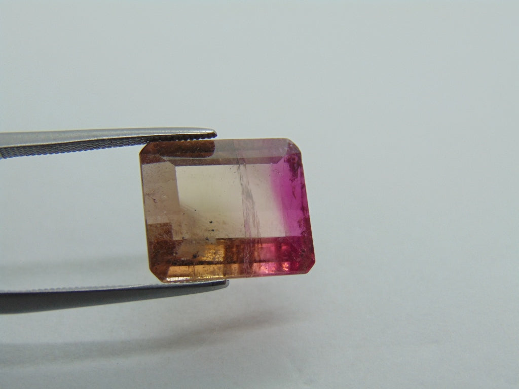 9.80cts Tourmaline (Bicolor)