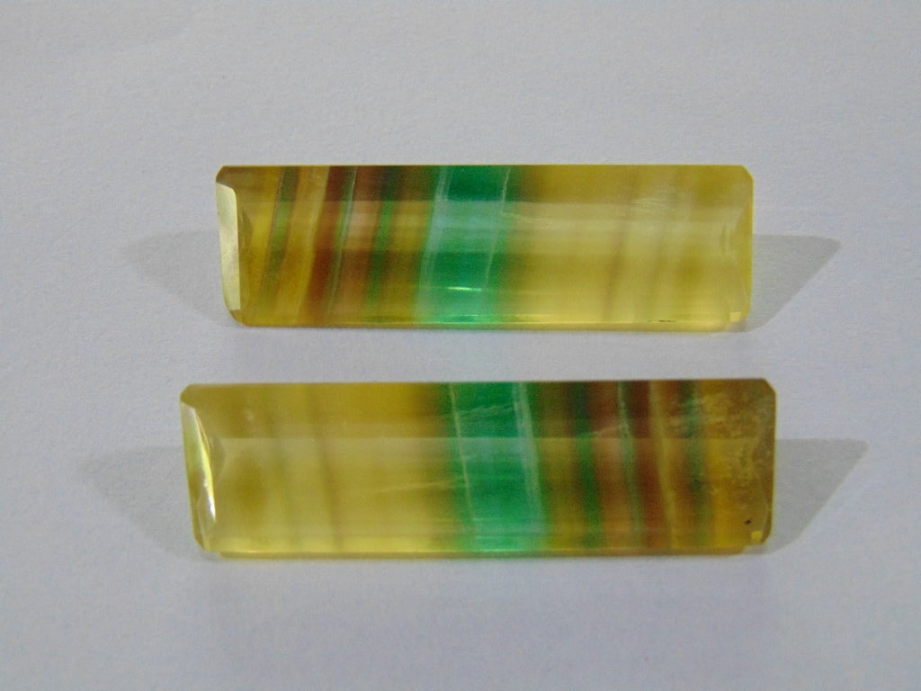 Fluorita 98,50 ct (Par)