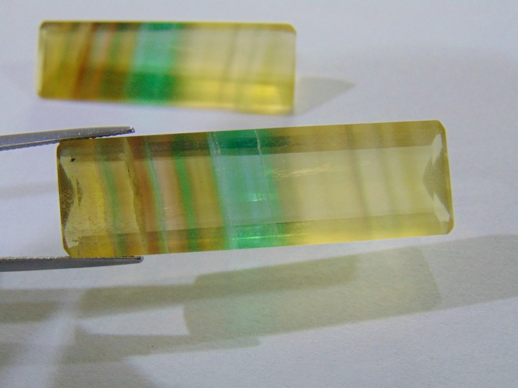 Fluorita 98,50 ct (Par)