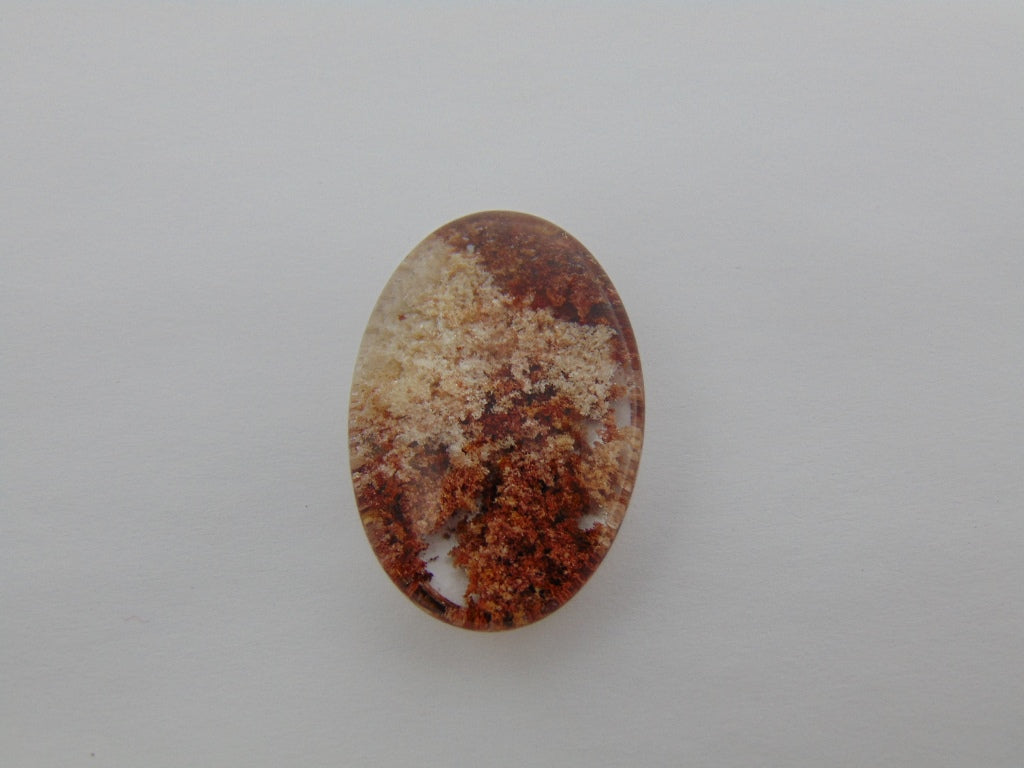 Lodolita 52,50 ct 31x20mm