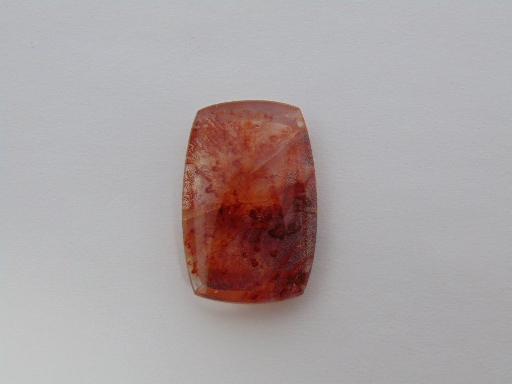 18,60cts Quartzo (Dendrita)