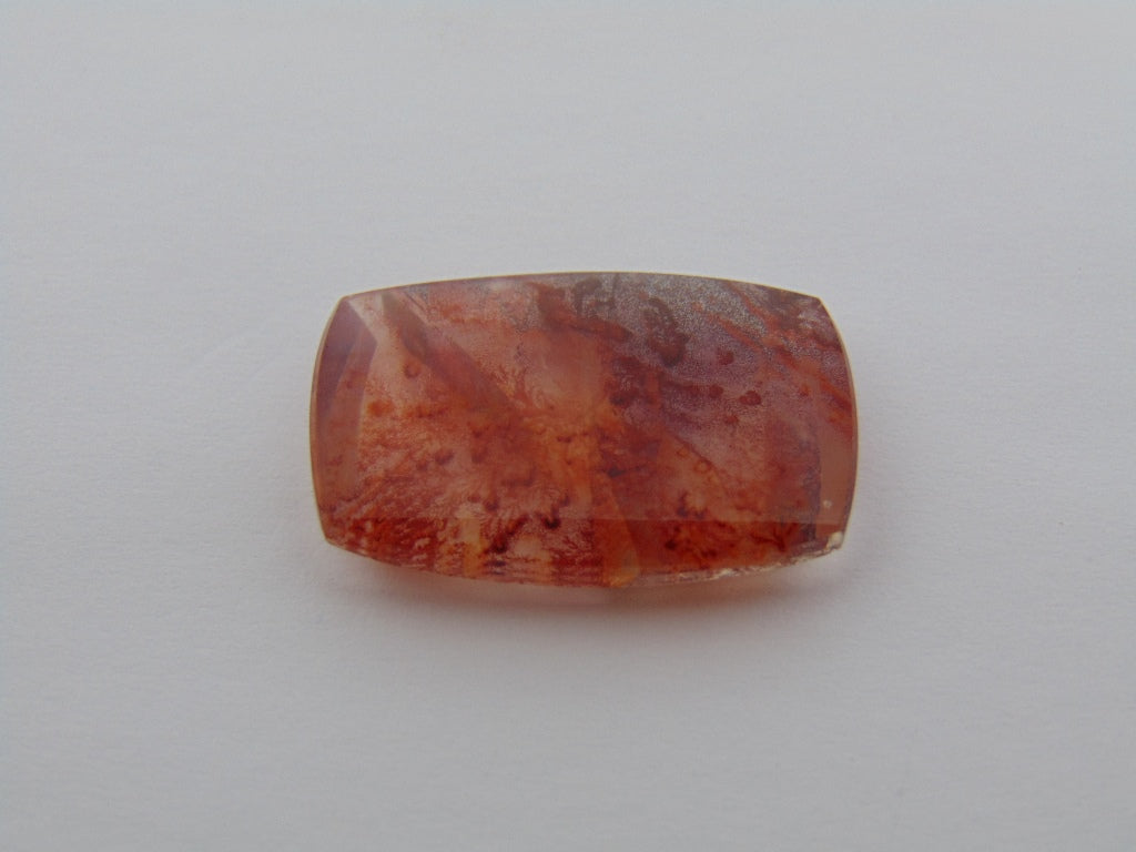 18,60cts Quartzo (Dendrita)