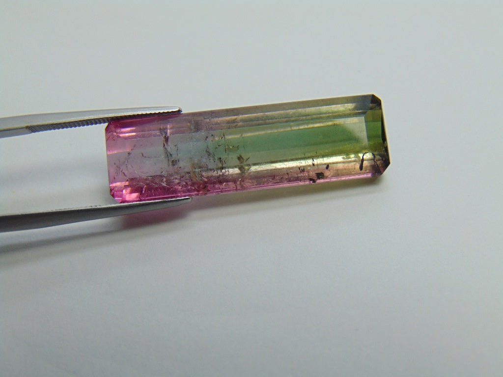 26.35ct Tourmaline Bicolor 34x10mm