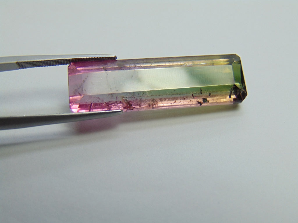 26.35ct Tourmaline Bicolor 34x10mm