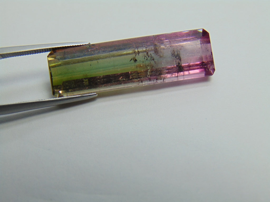 26.35ct Tourmaline Bicolor 34x10mm