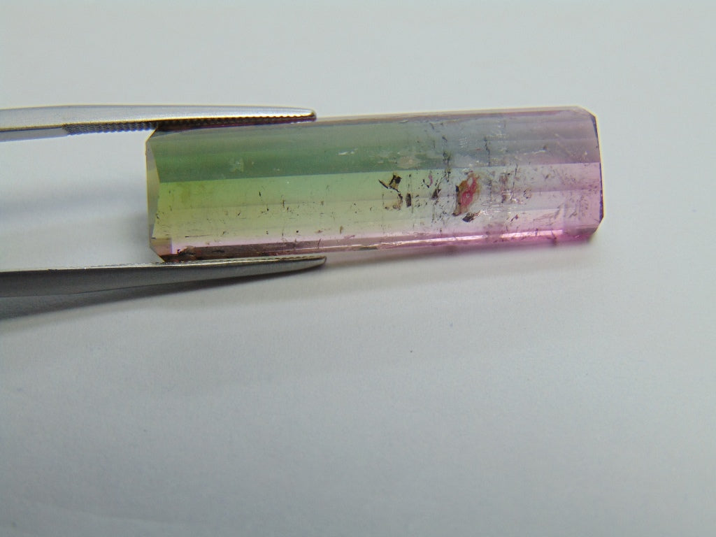 26.35ct Tourmaline Bicolor 34x10mm