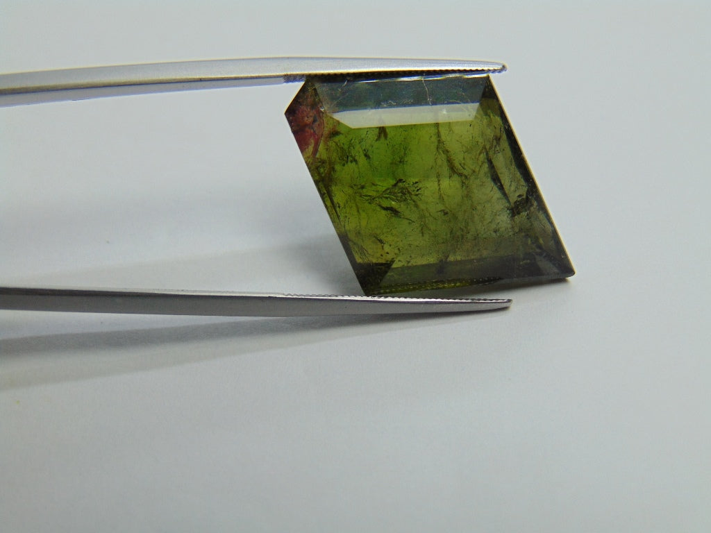 29.55ct Tourmaline 27x20mm