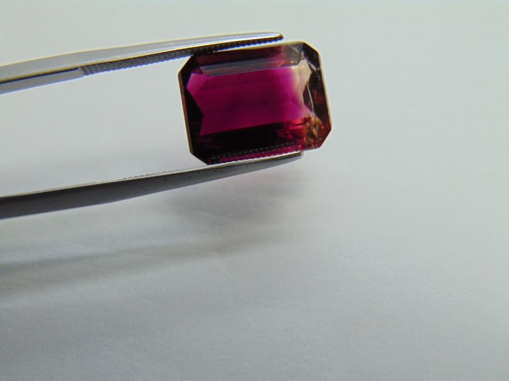 Turmalina Bicolor 7,70ct 13x10mm