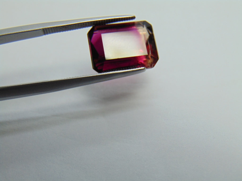 Turmalina Bicolor 7,70ct 13x10mm