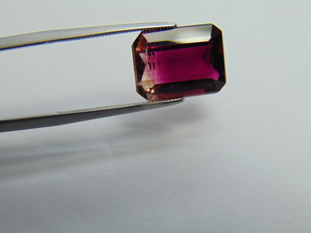 Turmalina Bicolor 7,70ct 13x10mm