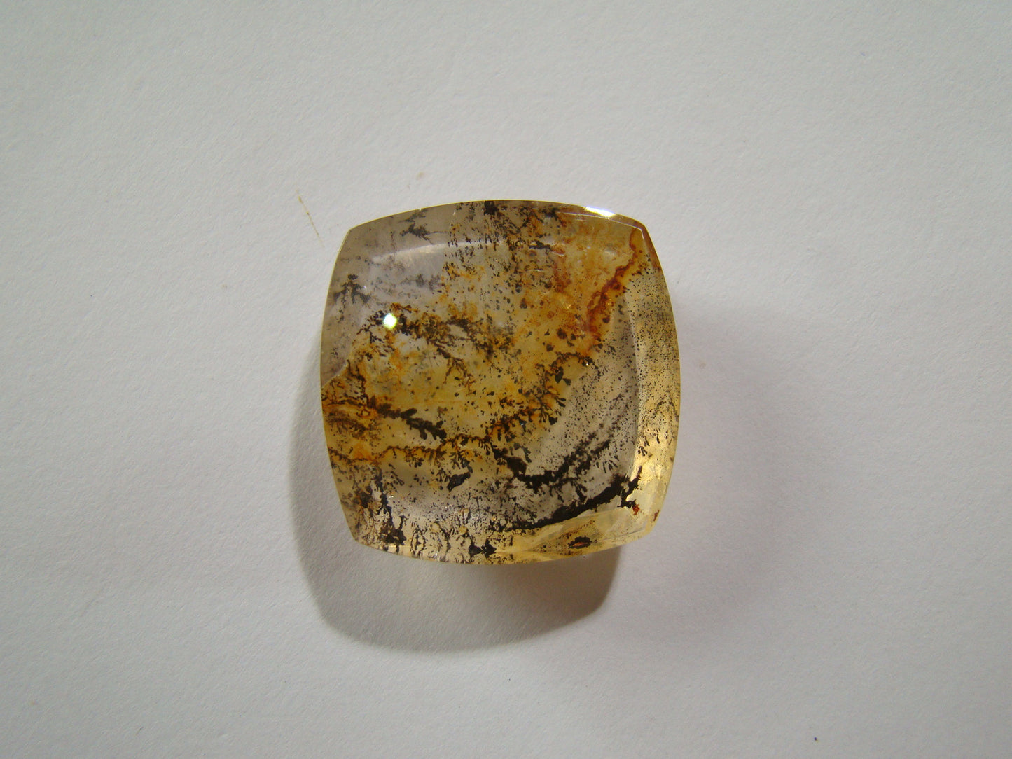 42.30ct Dendrita 25x24mm