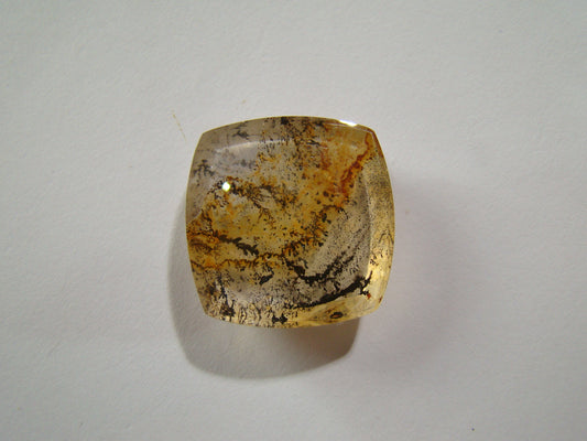 42.30ct Dendrita 25x24mm