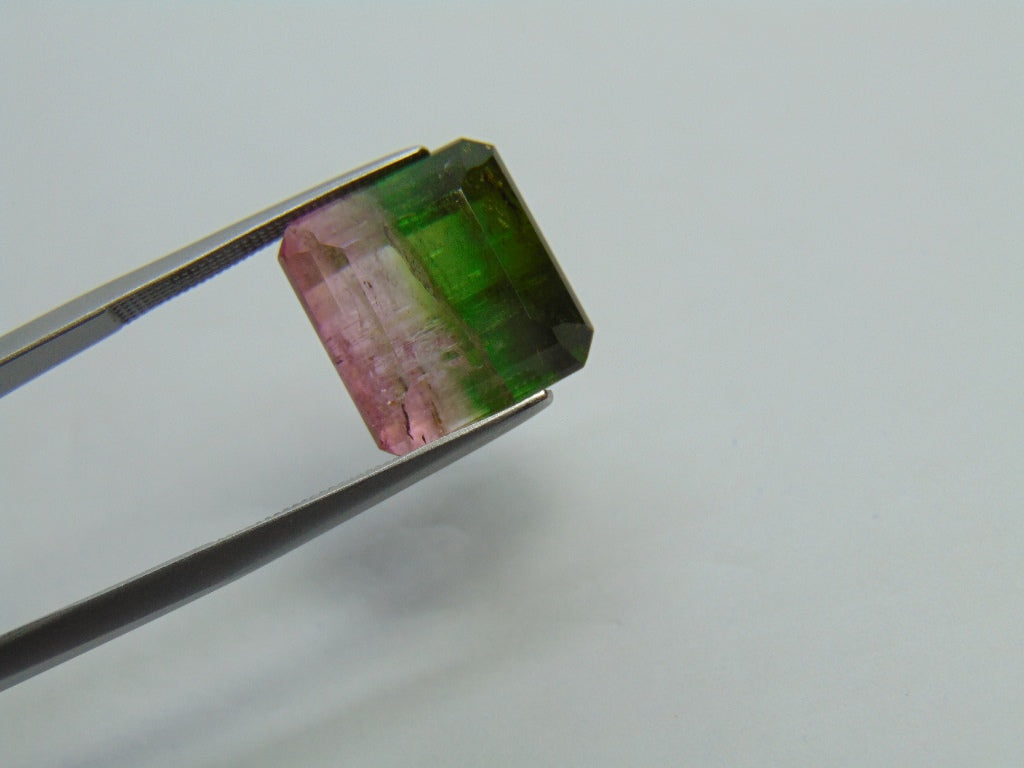 17.25ct Tourmaline Bicolor 14x13mm