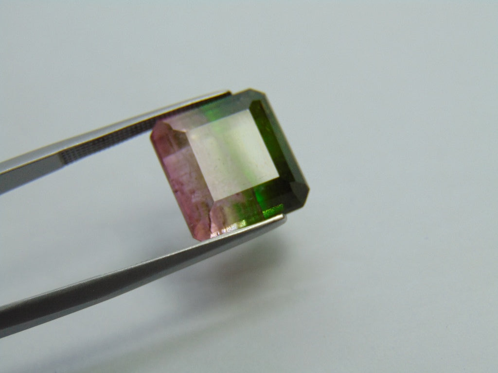 17.25ct Tourmaline Bicolor 14x13mm