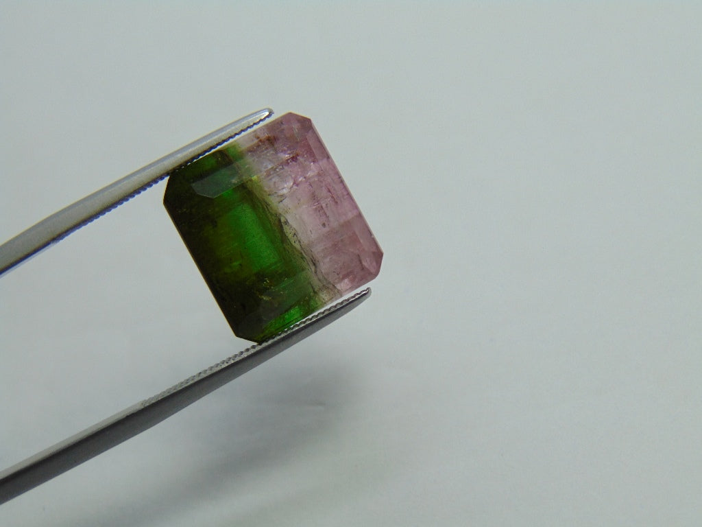 17.25ct Tourmaline Bicolor 14x13mm