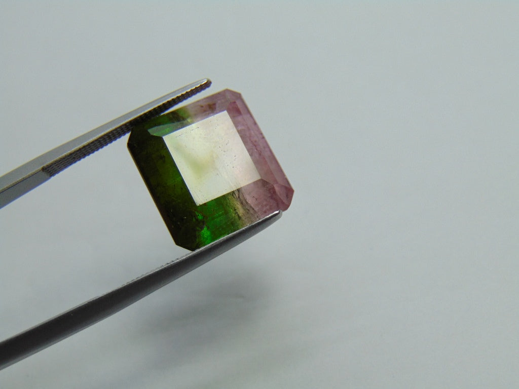 17.25ct Tourmaline Bicolor 14x13mm