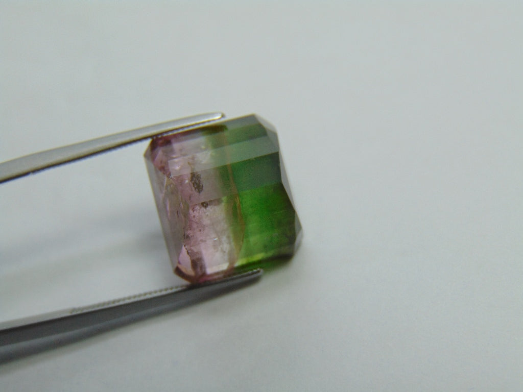 17.25ct Tourmaline Bicolor 14x13mm