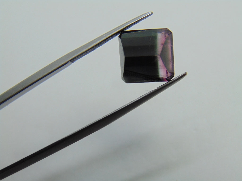 6,34ct Turmalina Bicolor 10mm