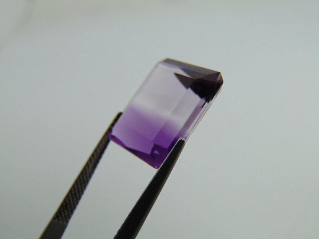 14cts Amethyst (Bicolor)