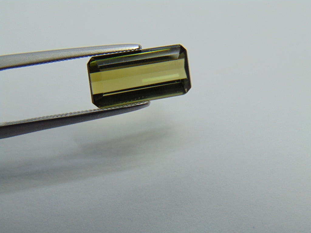 Turmalina 3,15ct 13x6mm