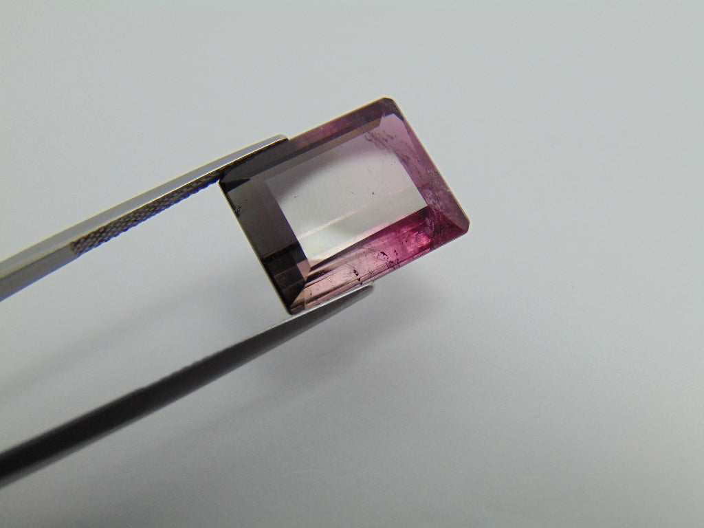 17.60cts Tourmaline (Bicolor)