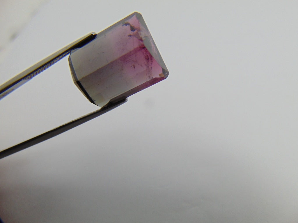 17.60cts Tourmaline (Bicolor)