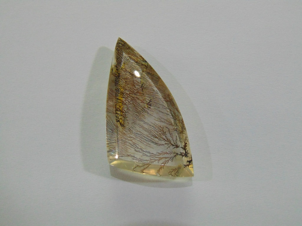 Dendrito 59ct 48x24mm