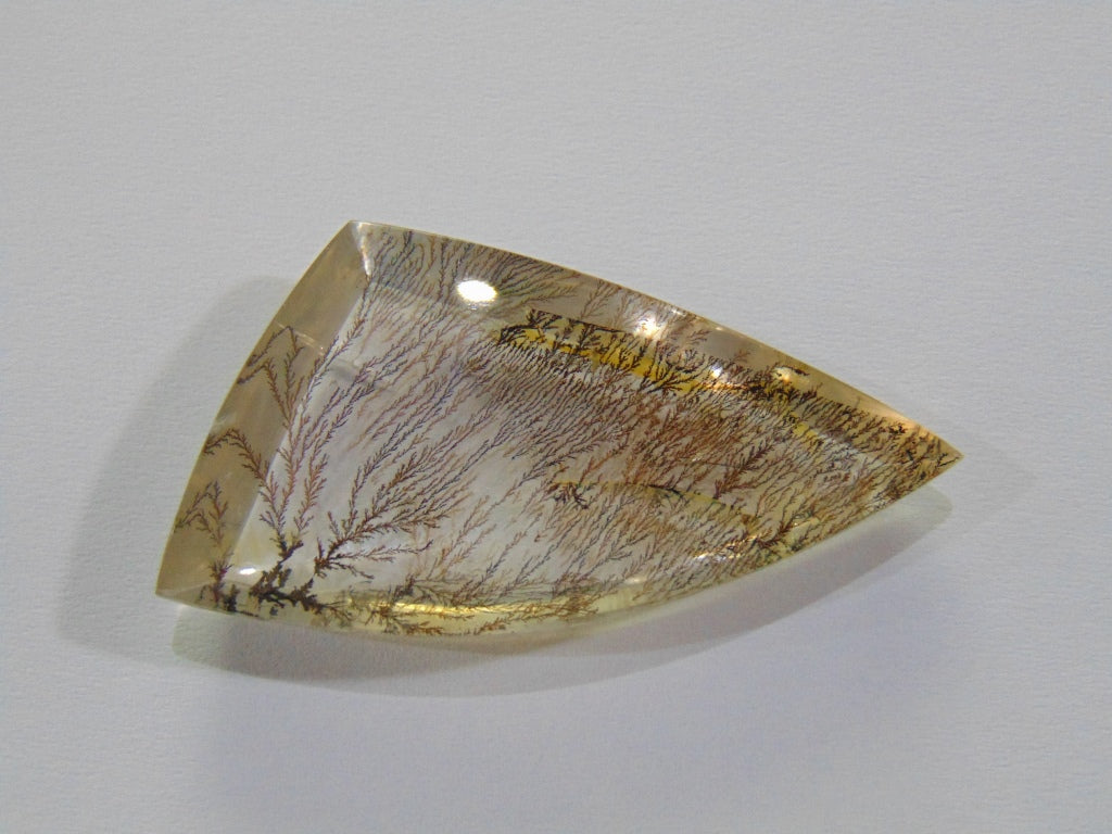 59ct Dendrite 48x24mm