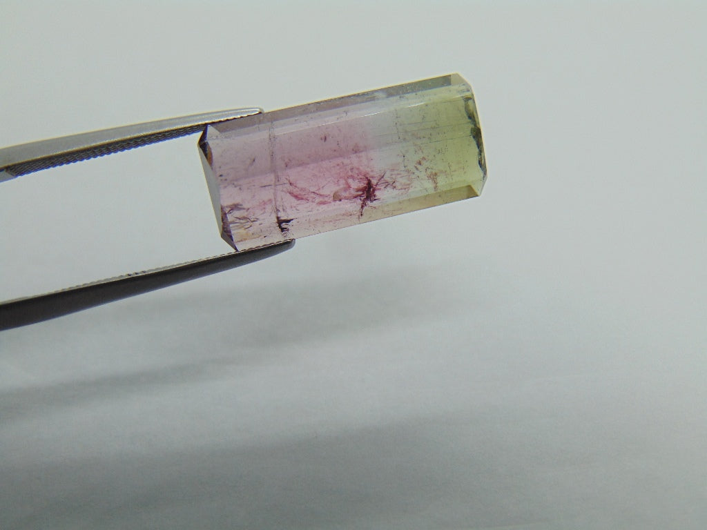 7.95cts Tourmaline (Bicolor)