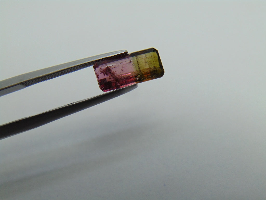 1,55ct Turmalina Bicolor 11x5mm