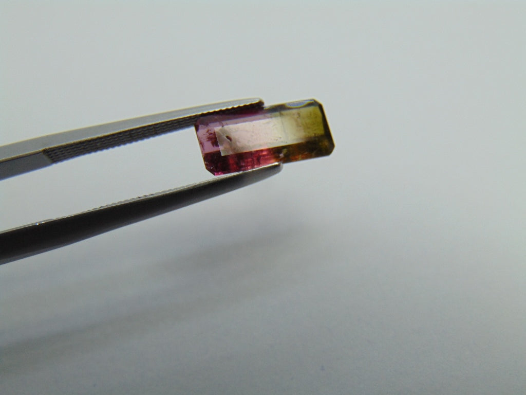 1,55ct Turmalina Bicolor 11x5mm