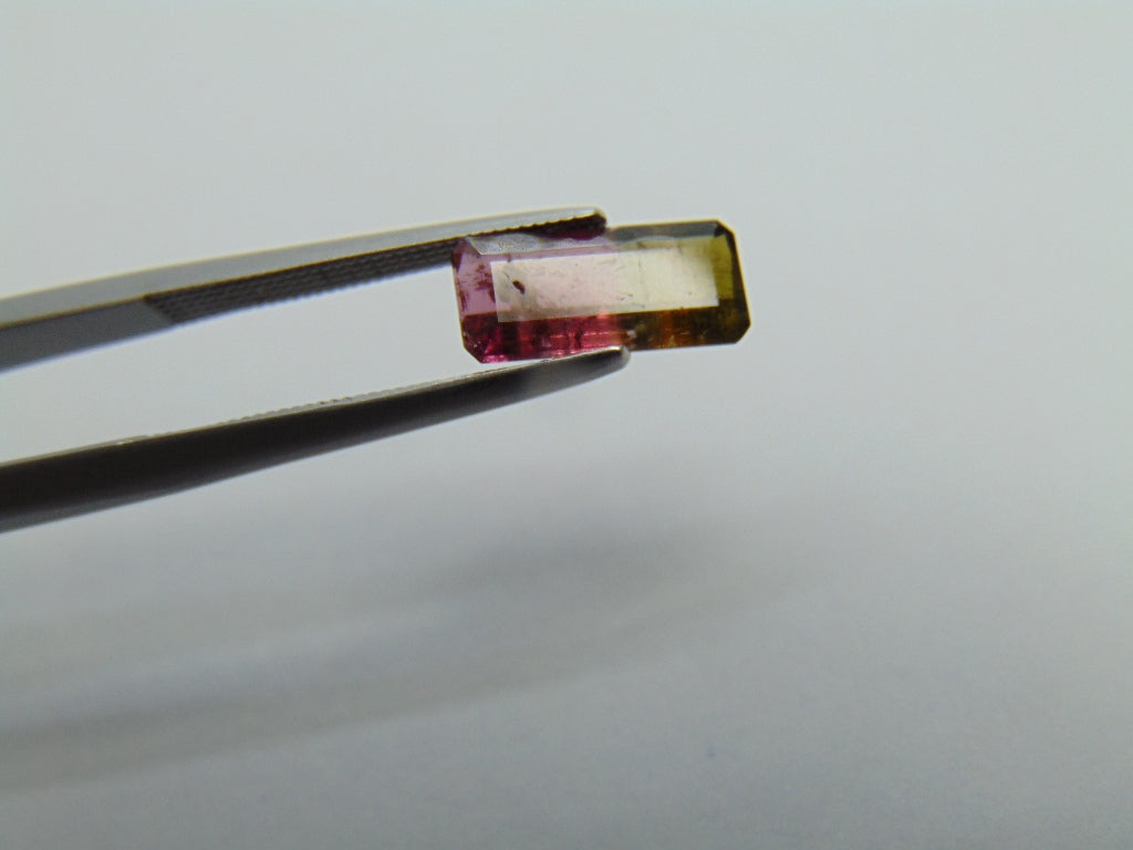 1,55ct Turmalina Bicolor 11x5mm