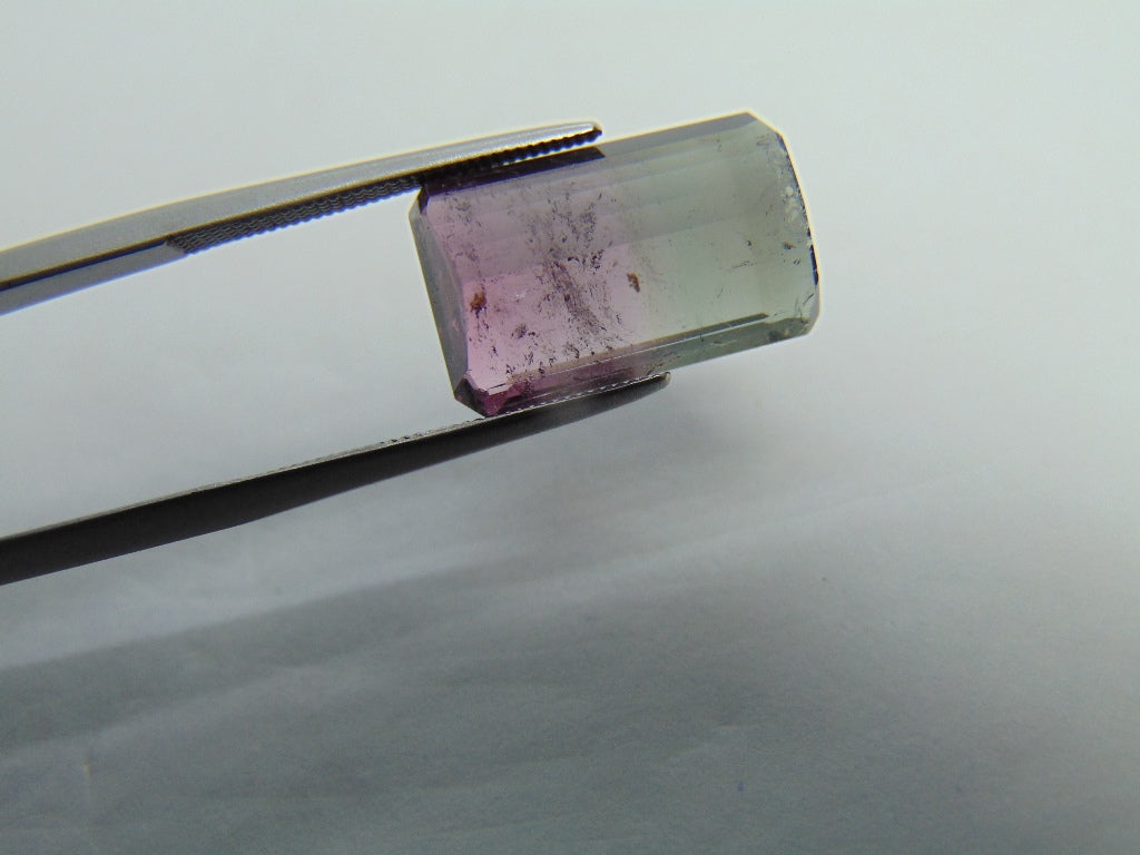 9.65ct Tourmaline Bicolor 16x10mm