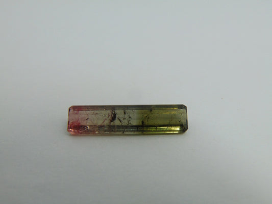 Turmalina Bicolor 10,90ct 30x7mm