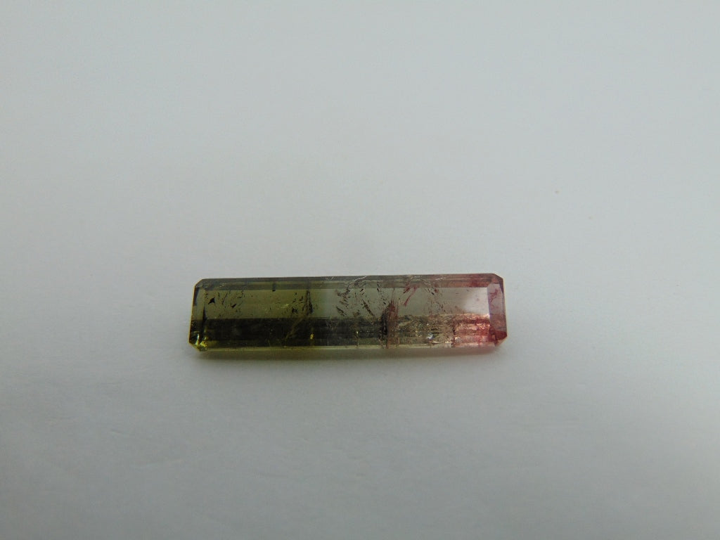 Turmalina Bicolor 10,90ct 30x7mm