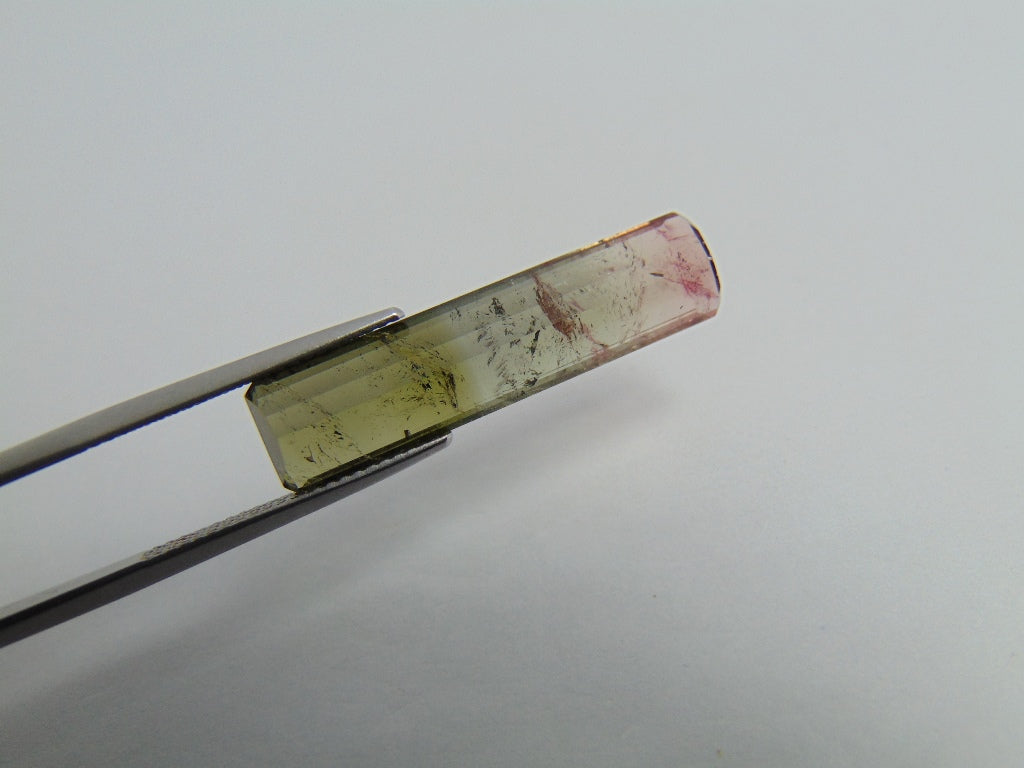 Turmalina Bicolor 10,90ct 30x7mm