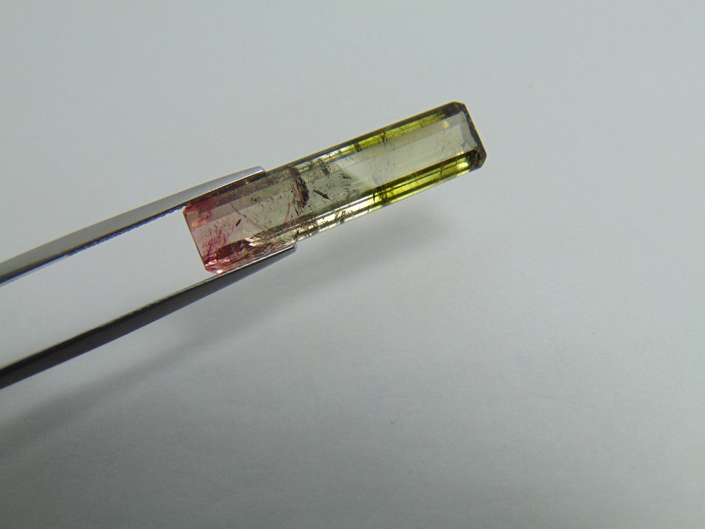 Turmalina Bicolor 10,90ct 30x7mm