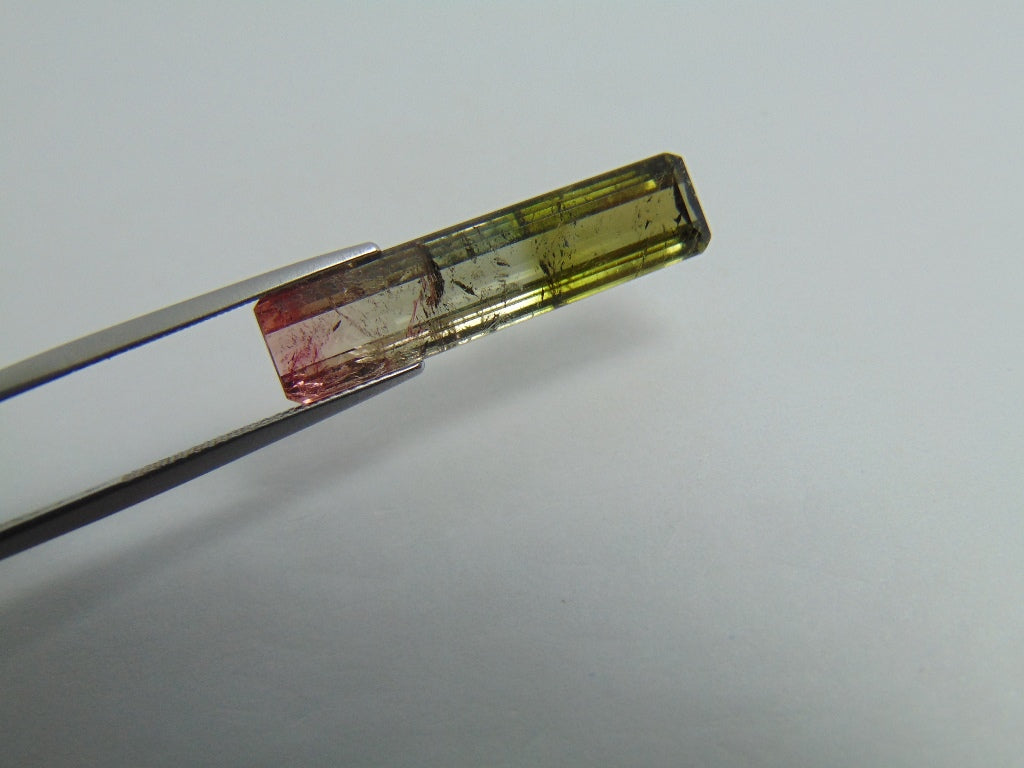 Turmalina Bicolor 10,90ct 30x7mm