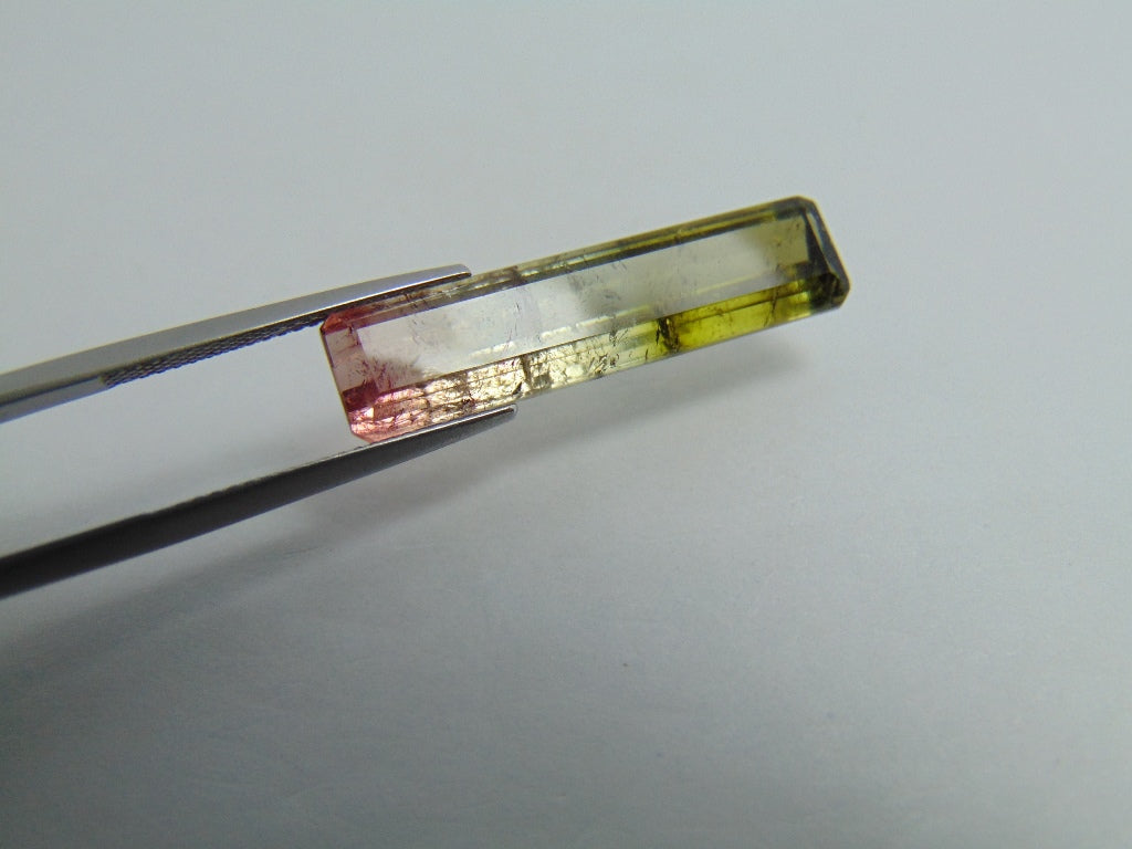 Turmalina Bicolor 10,90ct 30x7mm