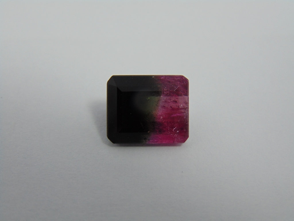 7,30cts Turmalina (Bicolor)