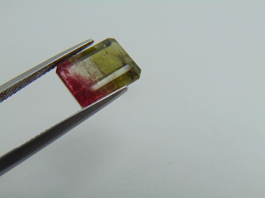 6.30ct Turmalina Bicolor 11x9mm