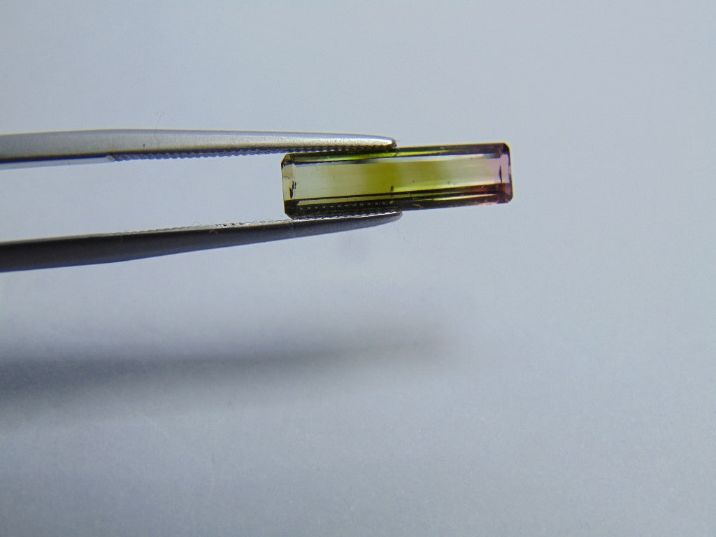 2ct Turmalina Bicolor 16x4mm